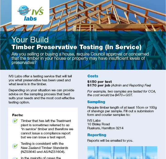Ivs Labs   Your Build  Thumb